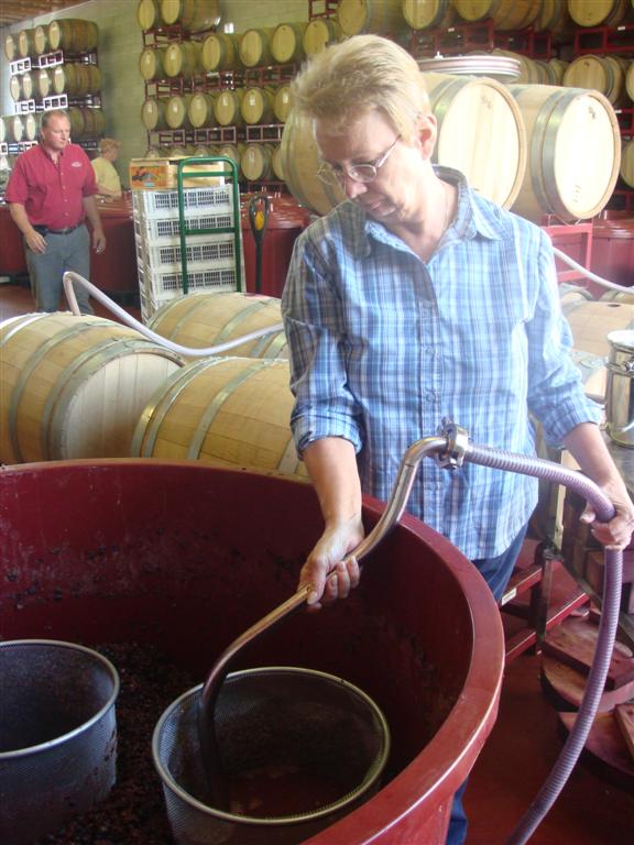 Wine Making Class